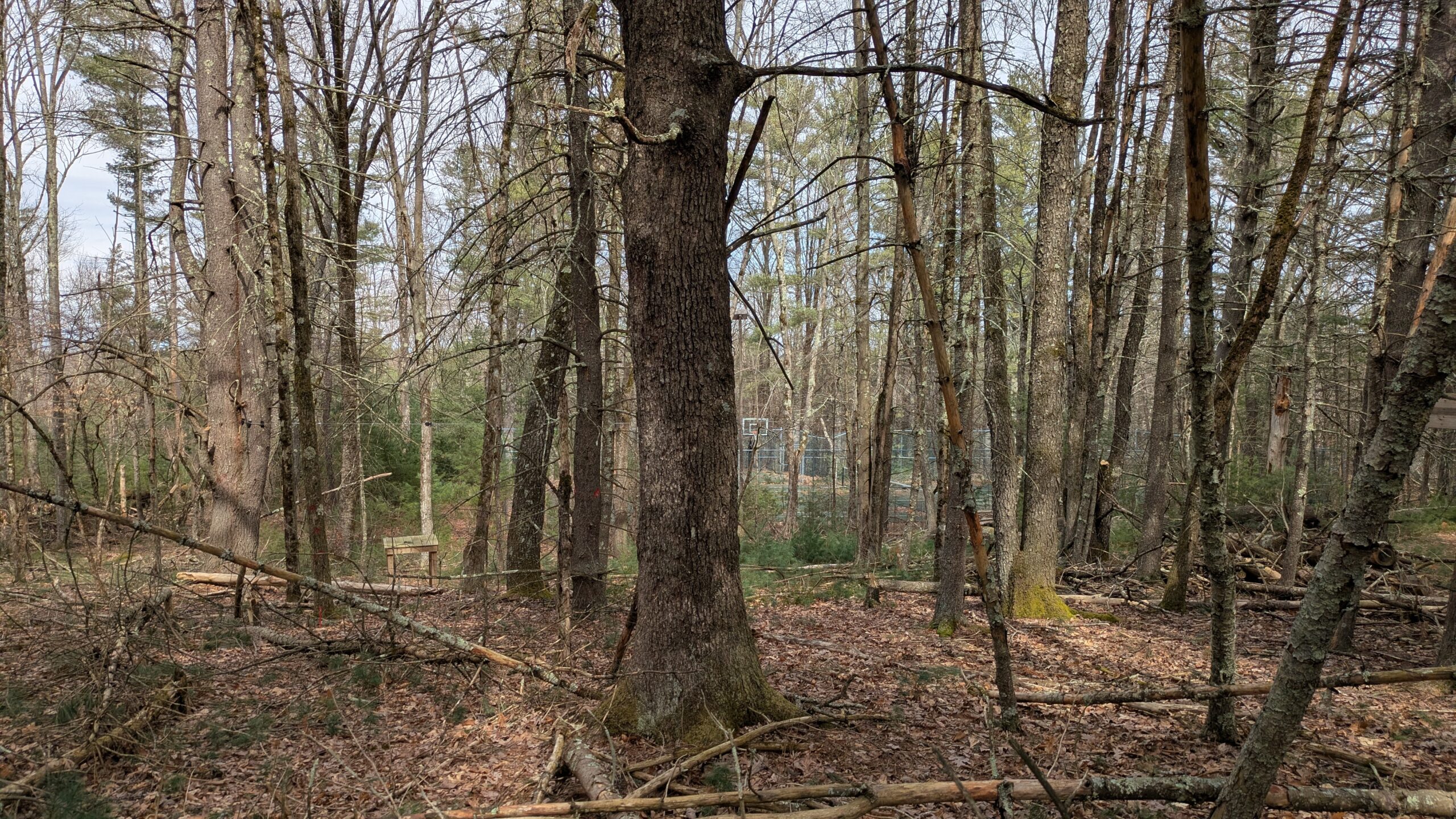 PXL_20250322_153806270