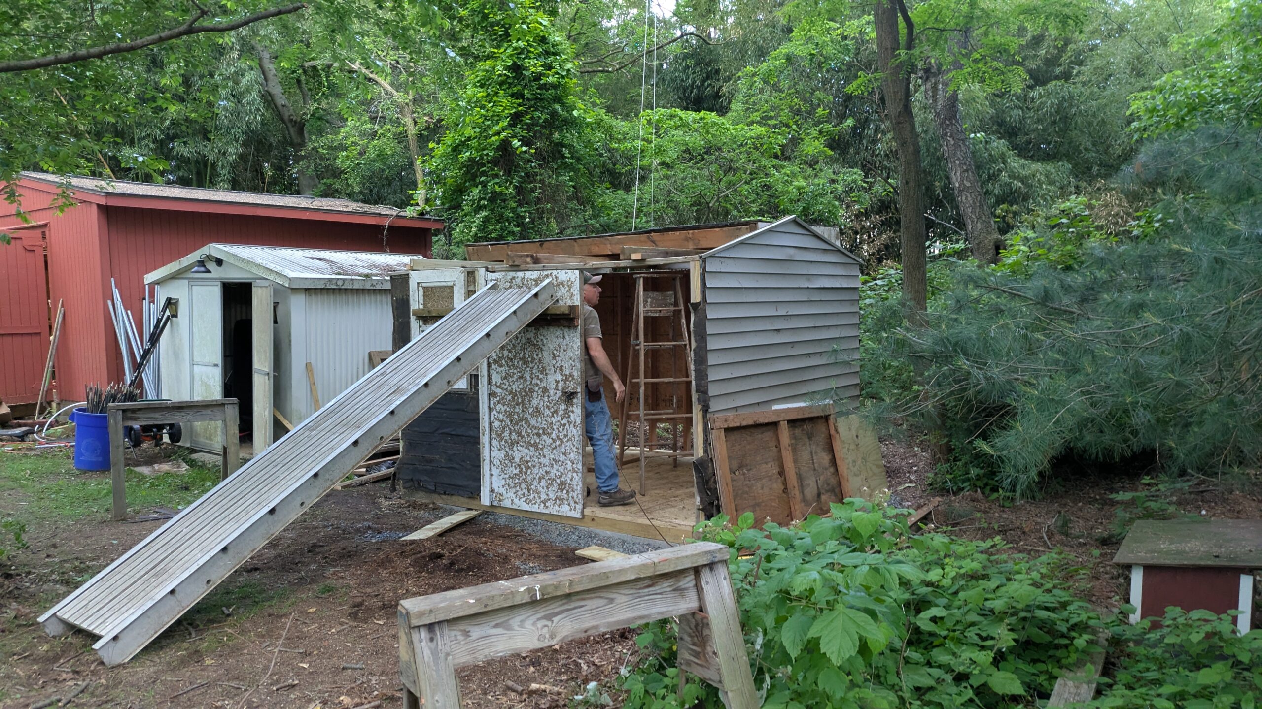 PXL_20250526_231331679