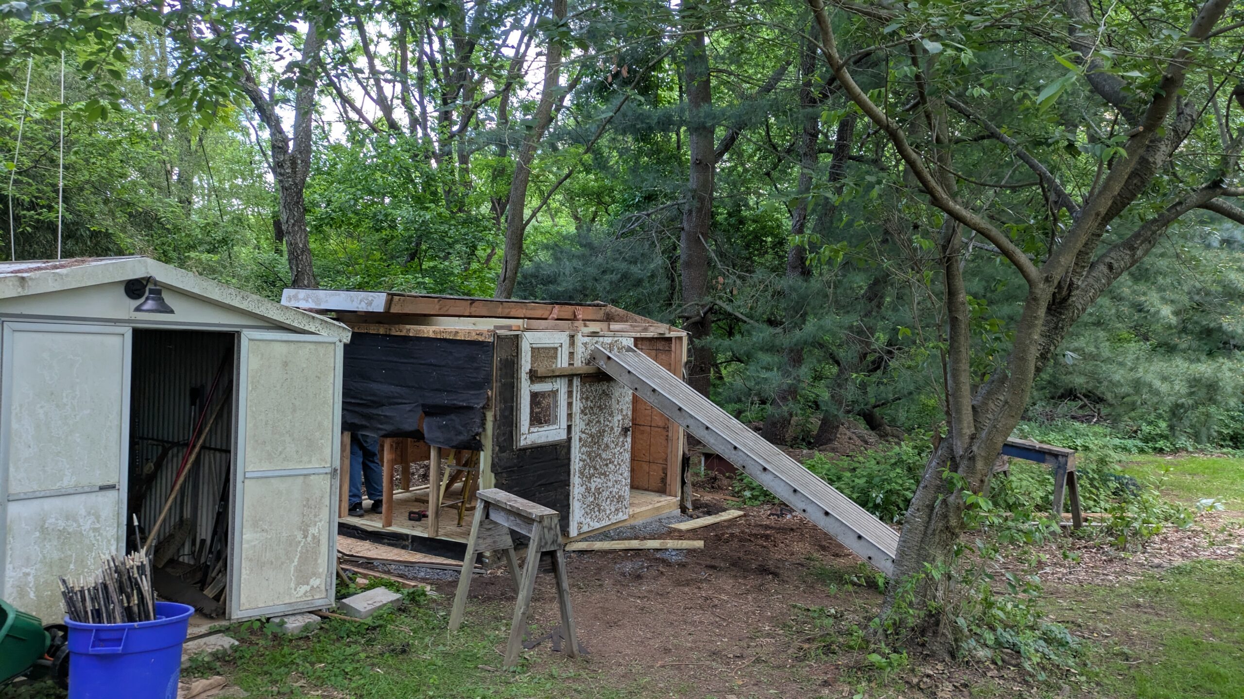 PXL_20250526_231339543