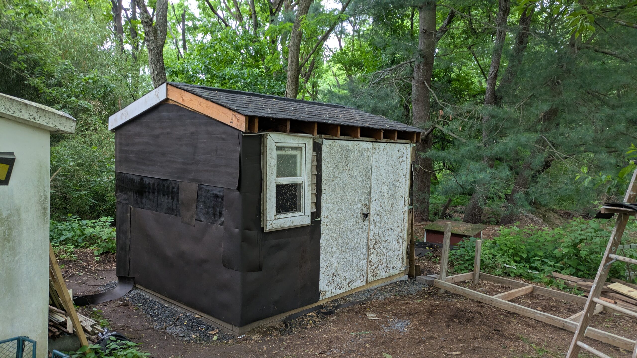 PXL_20250609_194556364