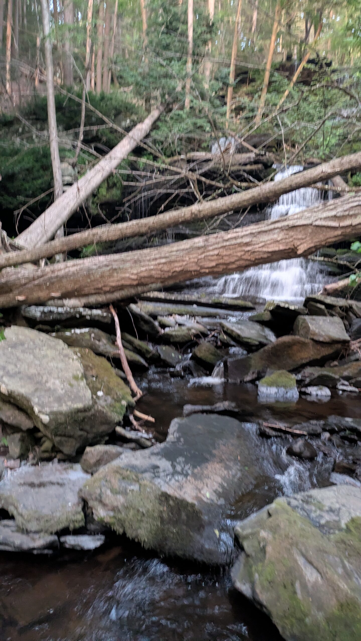 PXL_20250713_001718645