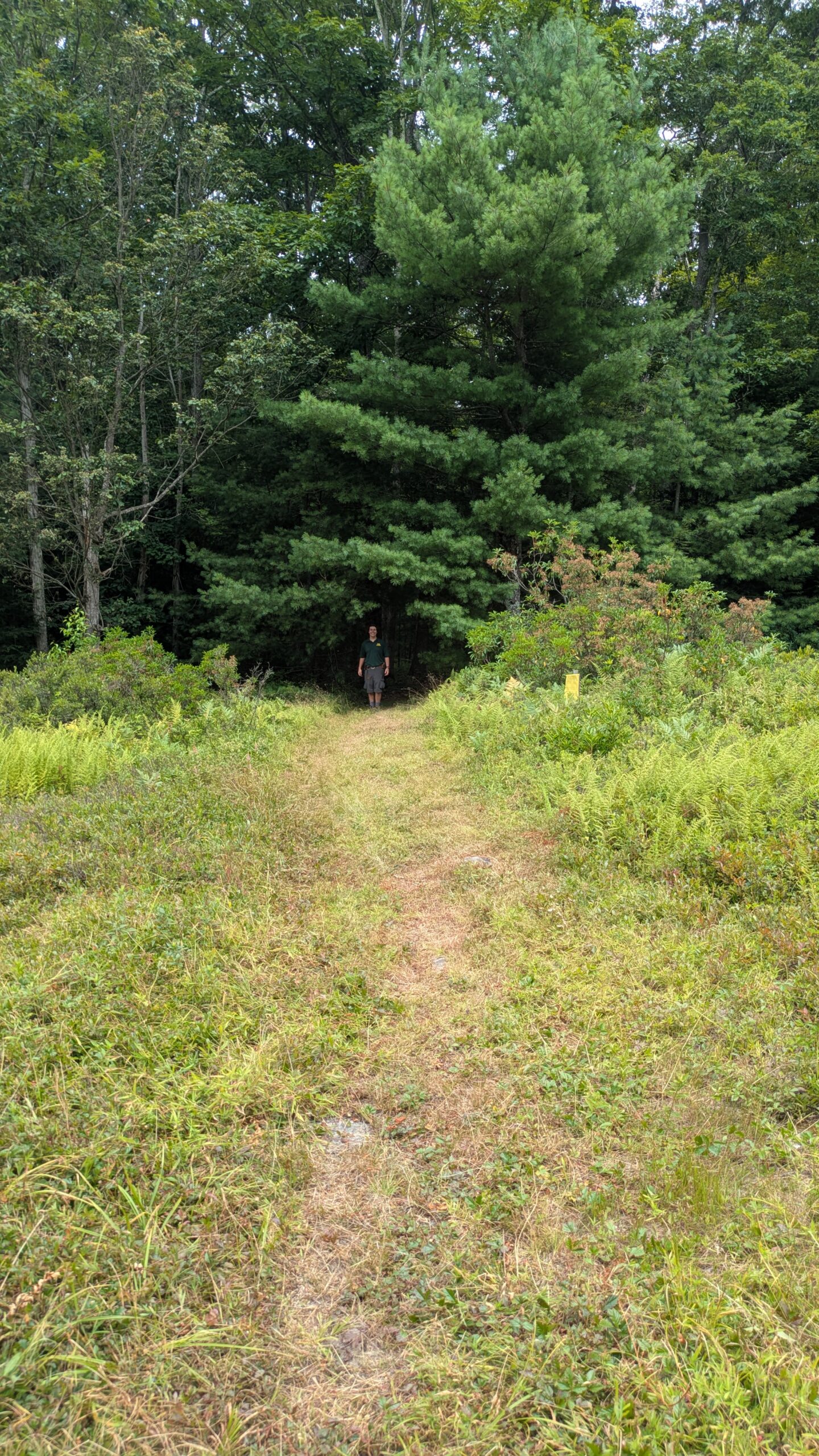PXL_20250726_171432704