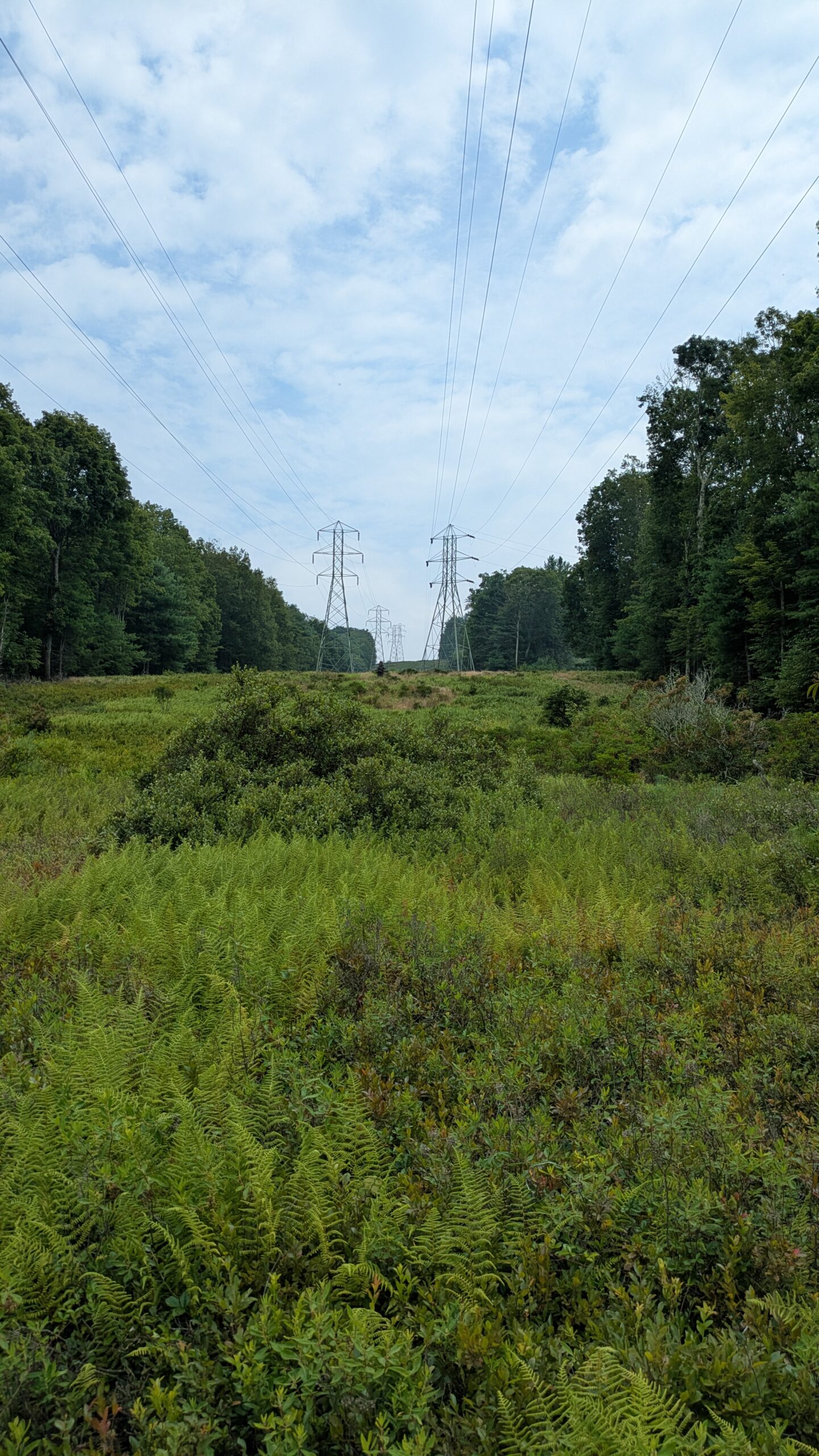 PXL_20250726_171447779