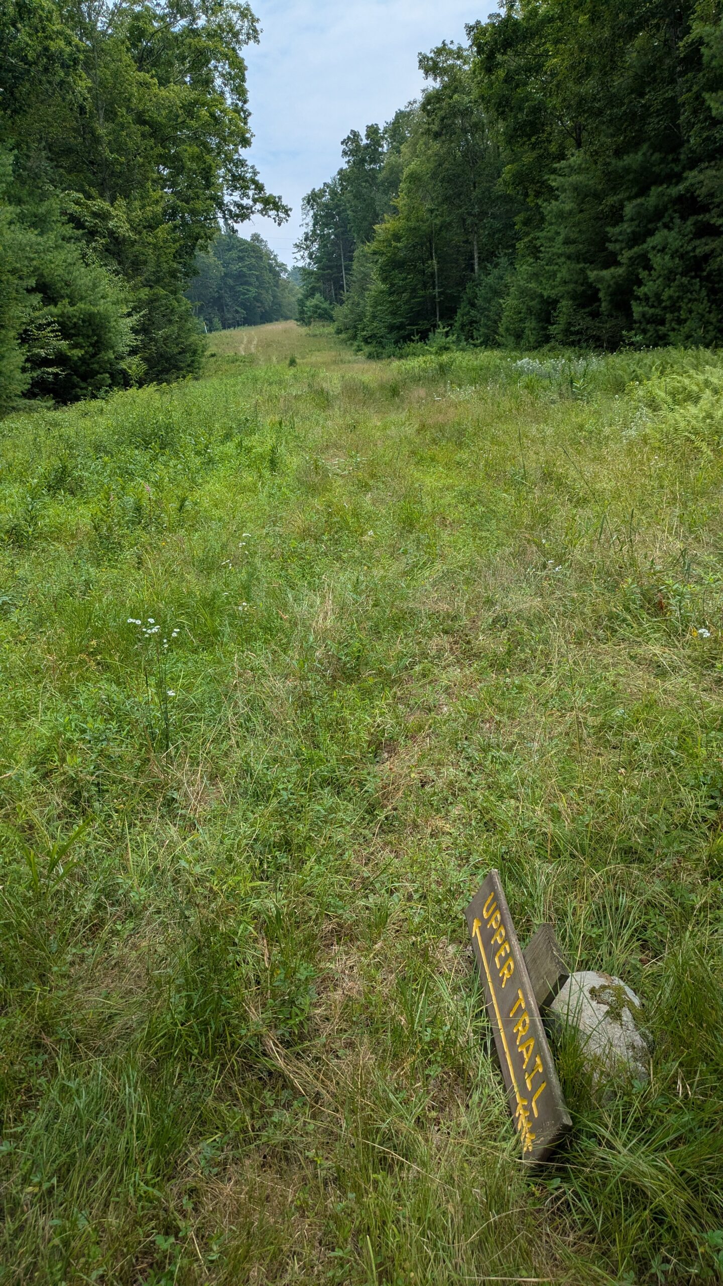 PXL_20250726_171532523