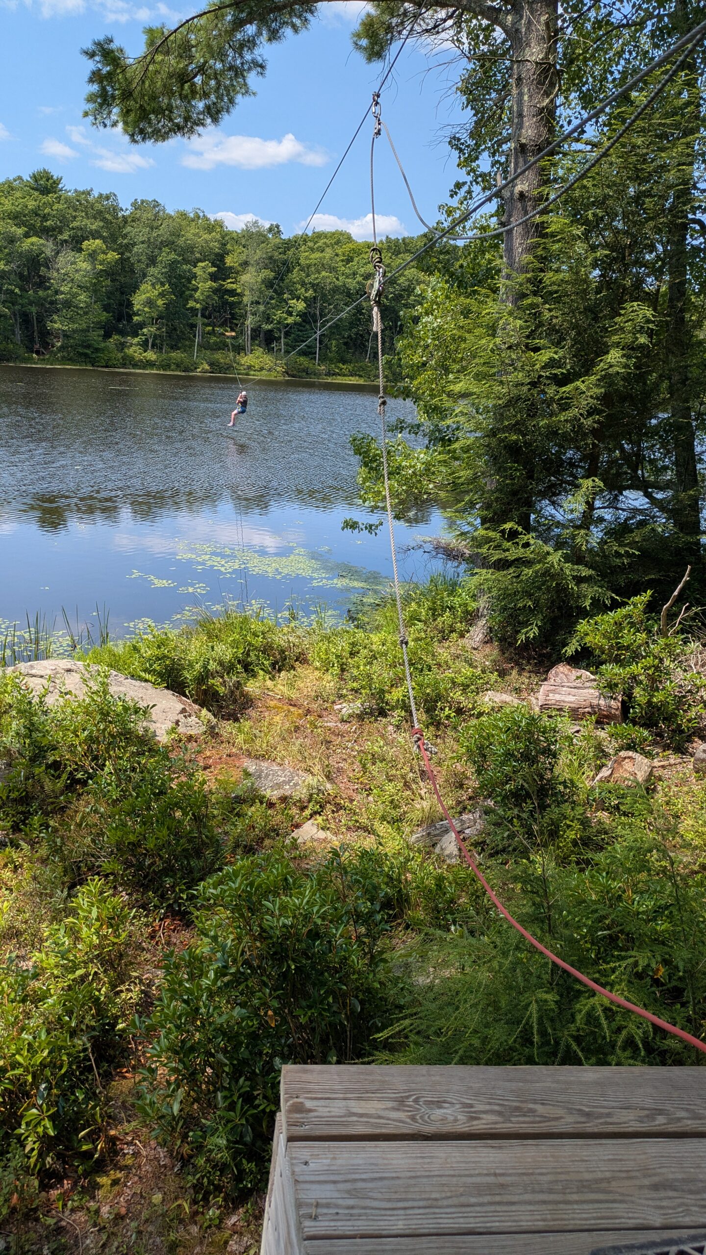 PXL_20250802_175243966