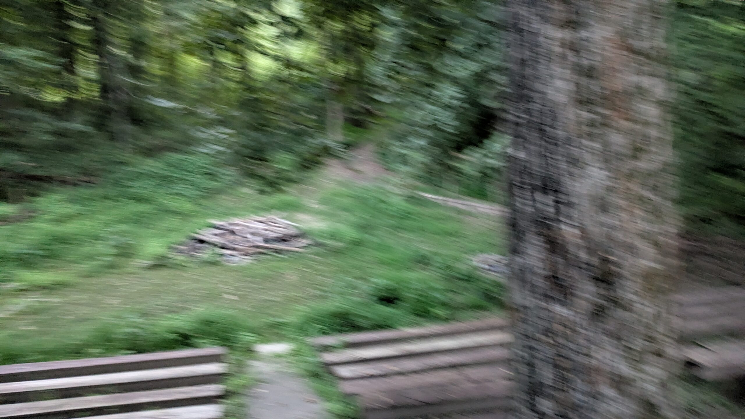 PXL_20250822_234555861