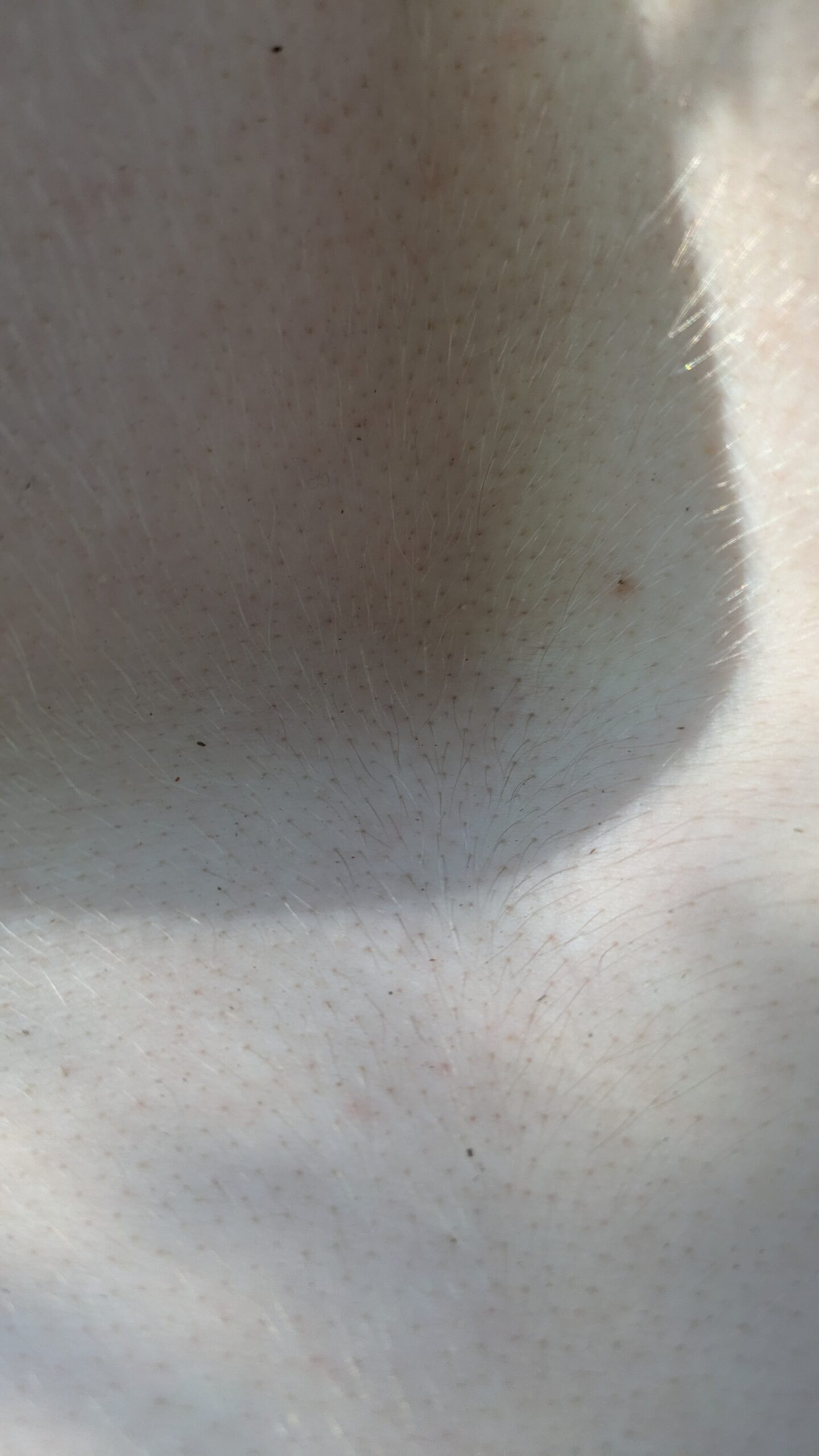 PXL_20250823_213517331