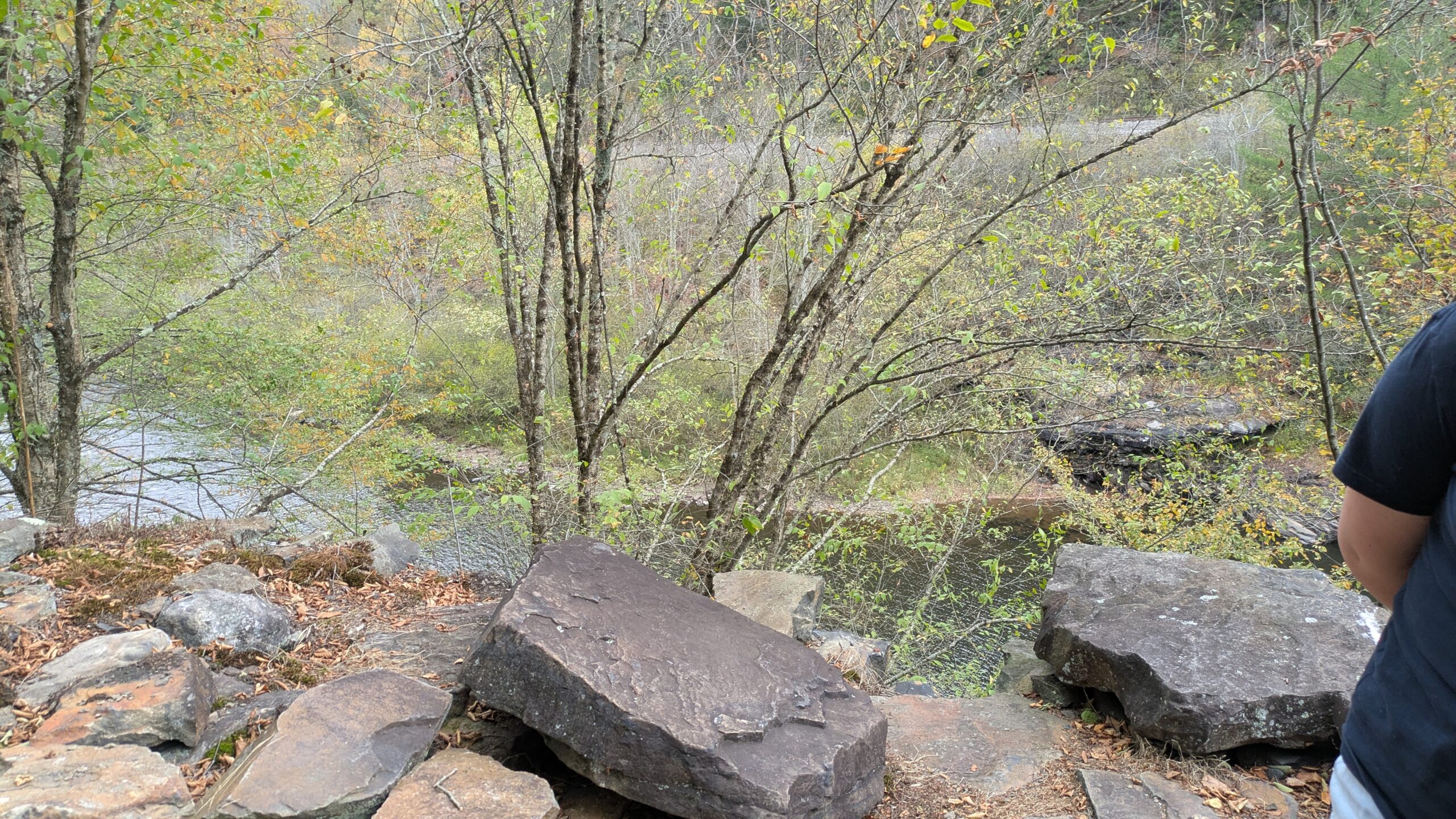 PXL_20251011_164154243