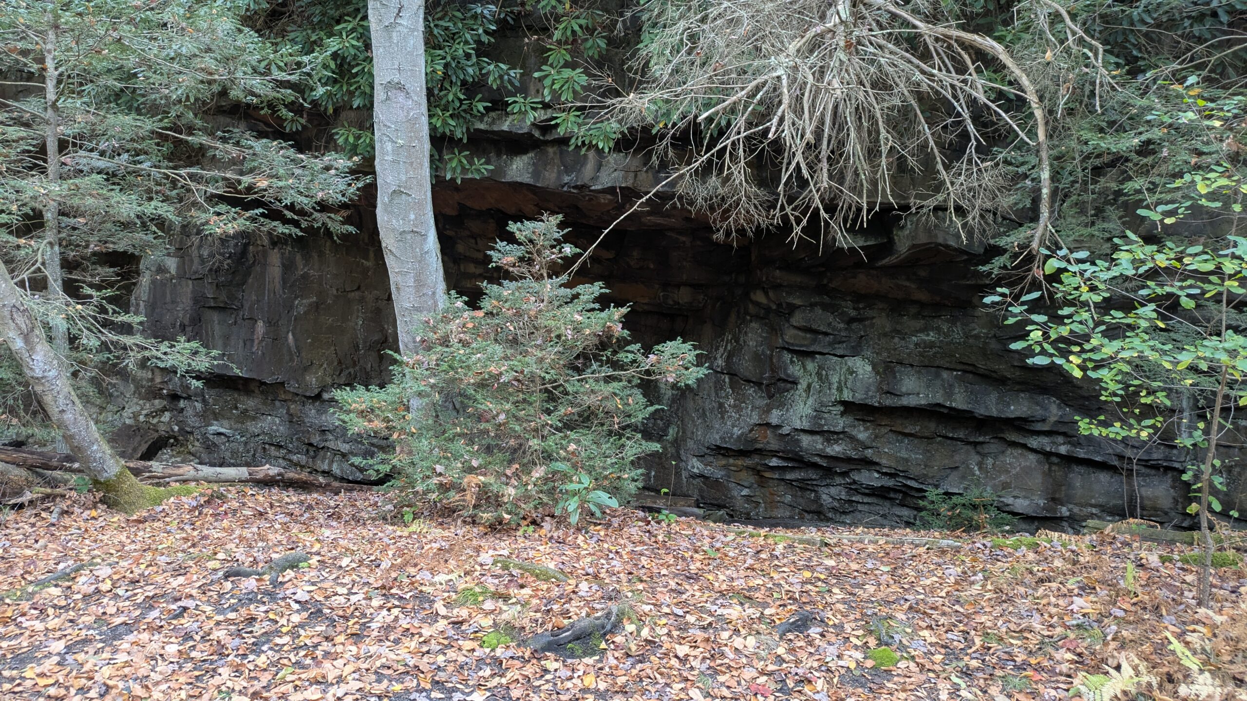 PXL_20251011_183848643