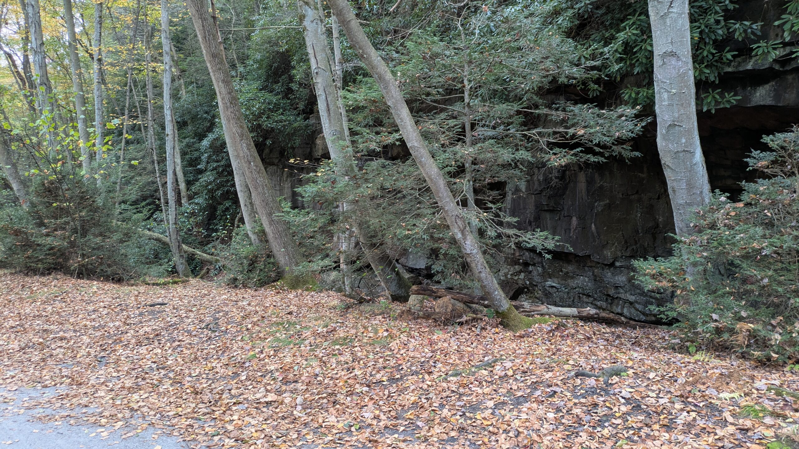 PXL_20251011_183849789