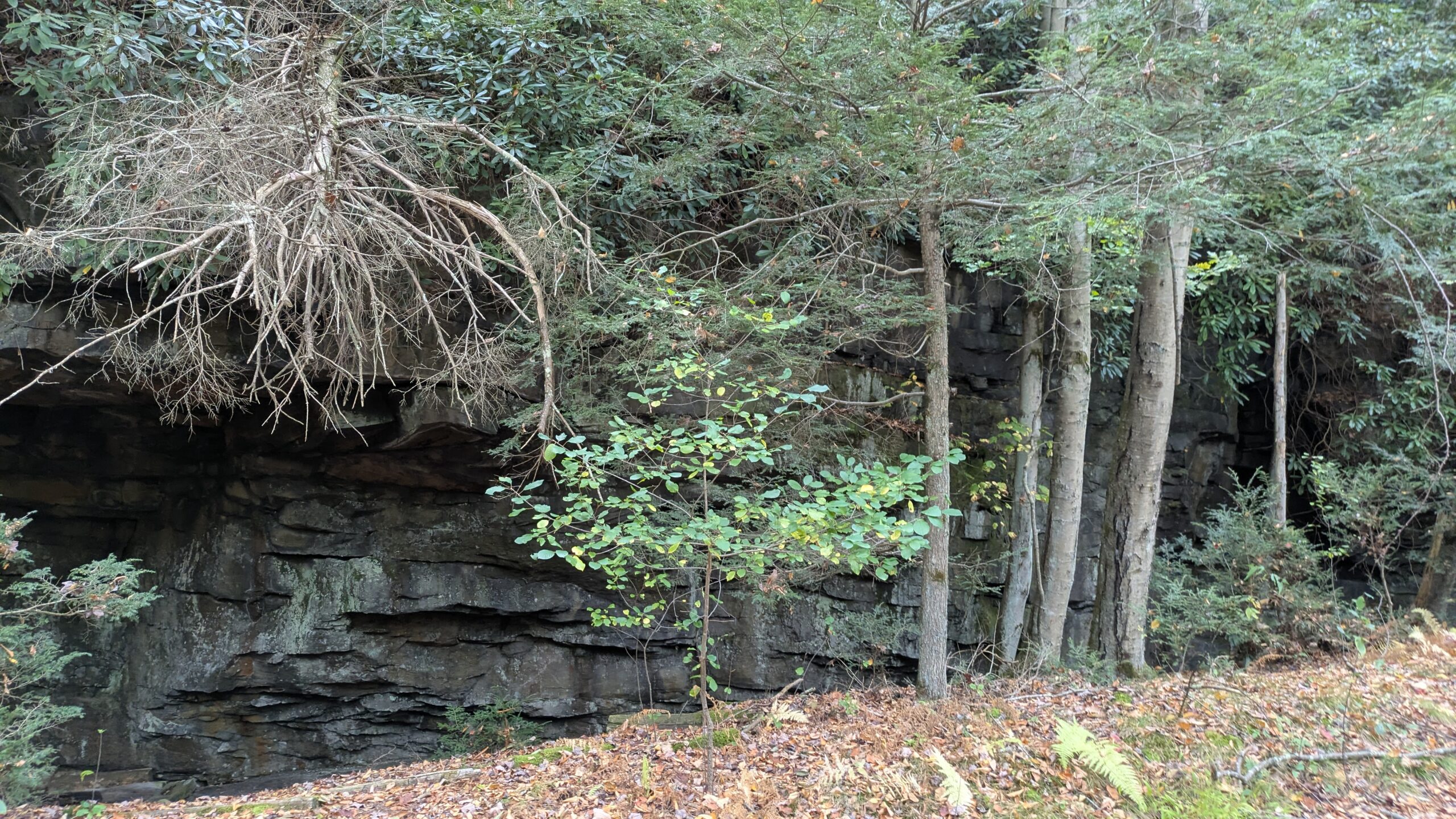 PXL_20251011_183850488