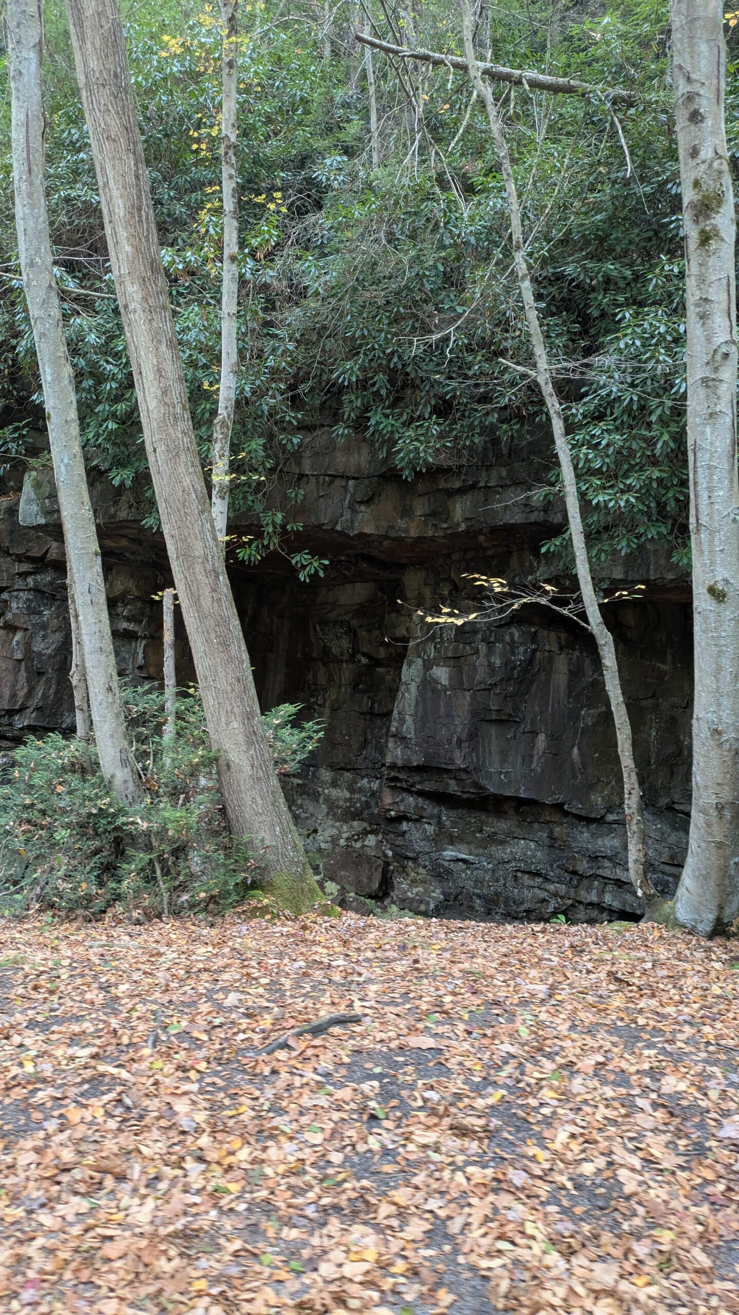 PXL_20251011_183857649