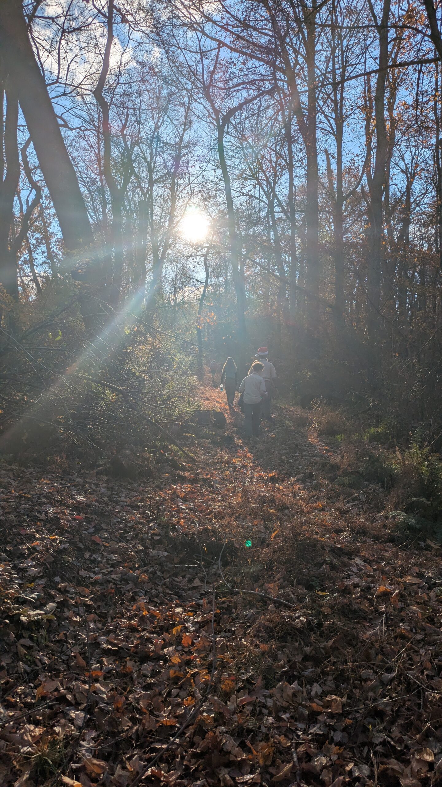 PXL_20251108_195952752