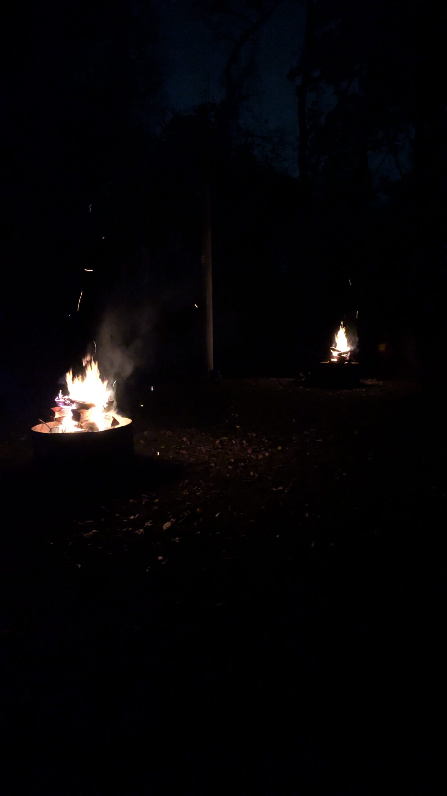 PXL_20251109_011839352