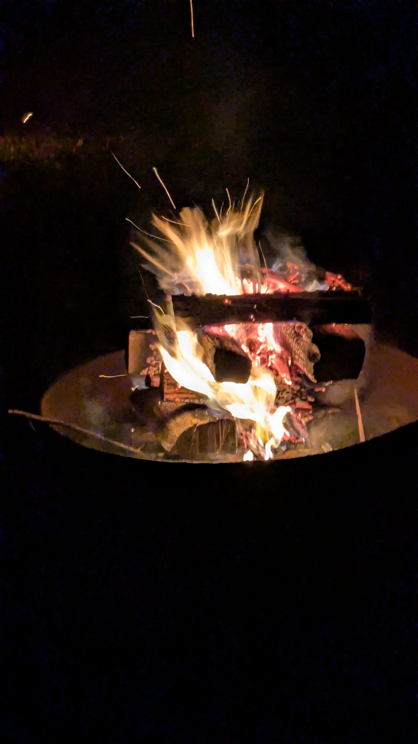 PXL_20251109_012437566